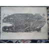 Antica Mappa di Roma realizzata da alwitra kg klaus gobel