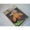 Scuola di fotografia Curcio n 18 fiori e piante manuali