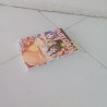 Fumetto manga Fairy Girls 4 Hiro Mashima Star Comics 2019