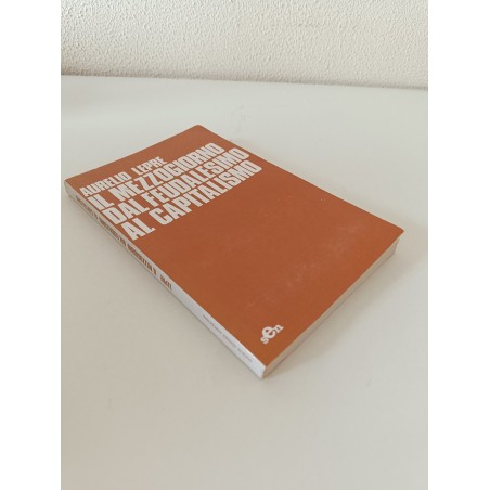 Lepre Il mezzogiorno dal feudalesimo al capitalismo SEN 1979