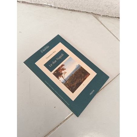 Domenico Rea Le due Napoli Il Mattino Prismi