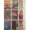 Playboy Hot cards 9 carte erotismo pin up attrici