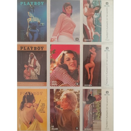 Playboy Hot cards 9 carte erotismo pin up attrici