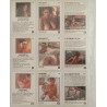 Playboy Hot cards 9 carte erotismo pin up attrici