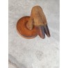 Vecchia Zampa di cervo tassidermia