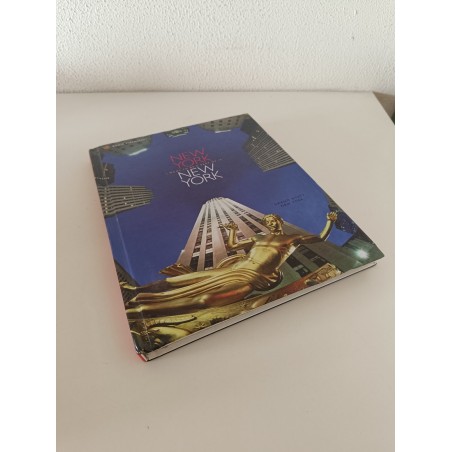 New York voglio farne parte i want to be a part of it