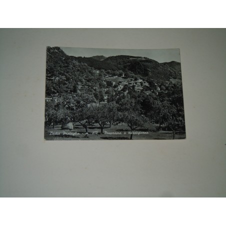 Cartolina Badia Prataglia Arezzo panorama viaggiata