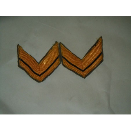 Coppia di gradi militari baffi in lana sergente esercito