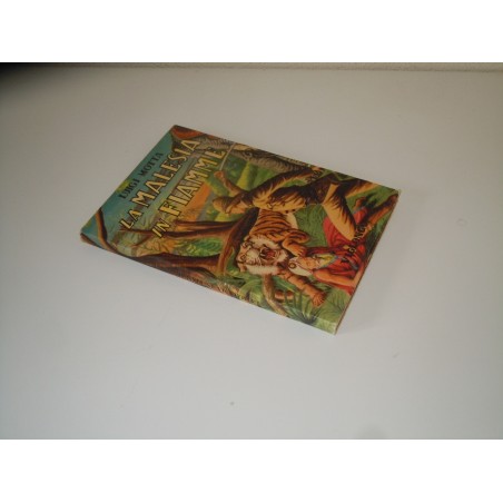 Motta La Malesia in fiamme Viglongo editore