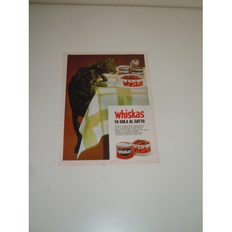 Pubblicità advertising Whiskas fa gola al gatto