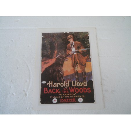 Locandina cinema film Back to the woods Harold Lloys