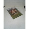 Semenzato catalogo asta Villa Gugliano opere d arte 2002