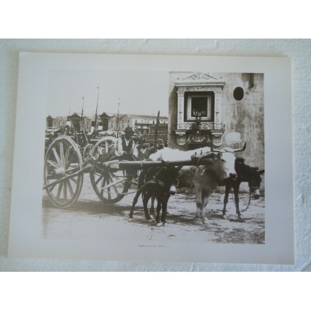 Stampa c' era una volta Napoli Alinari Barrocciaio 1890
