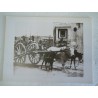 Stampa c' era una volta Napoli Alinari Barrocciaio 1890