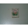 Francobolli Italia repubblica mazzetta 200 lire 1981 fiori 100 pezzi usati