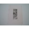 Incisione su cartoncino Silvia Pizzi cm 25x16.5