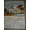 Ferrara manifesto omaggio all'Ariosto galleria arte moderna 1974