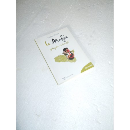 Cavadi La mafia spiegata ai turisti Di Girolamo editore 2008