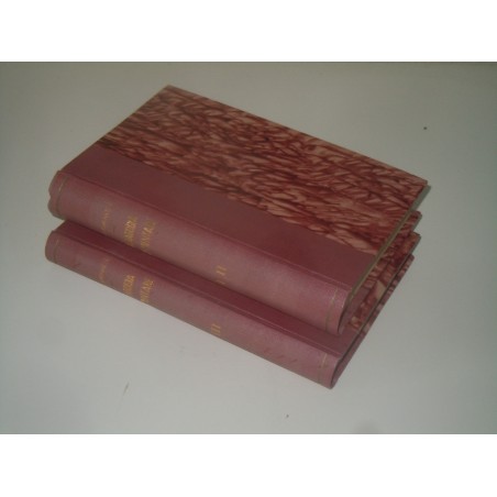 Saverio De Dominicis Linee di pedagogia elementare Dante Alighieri 1911